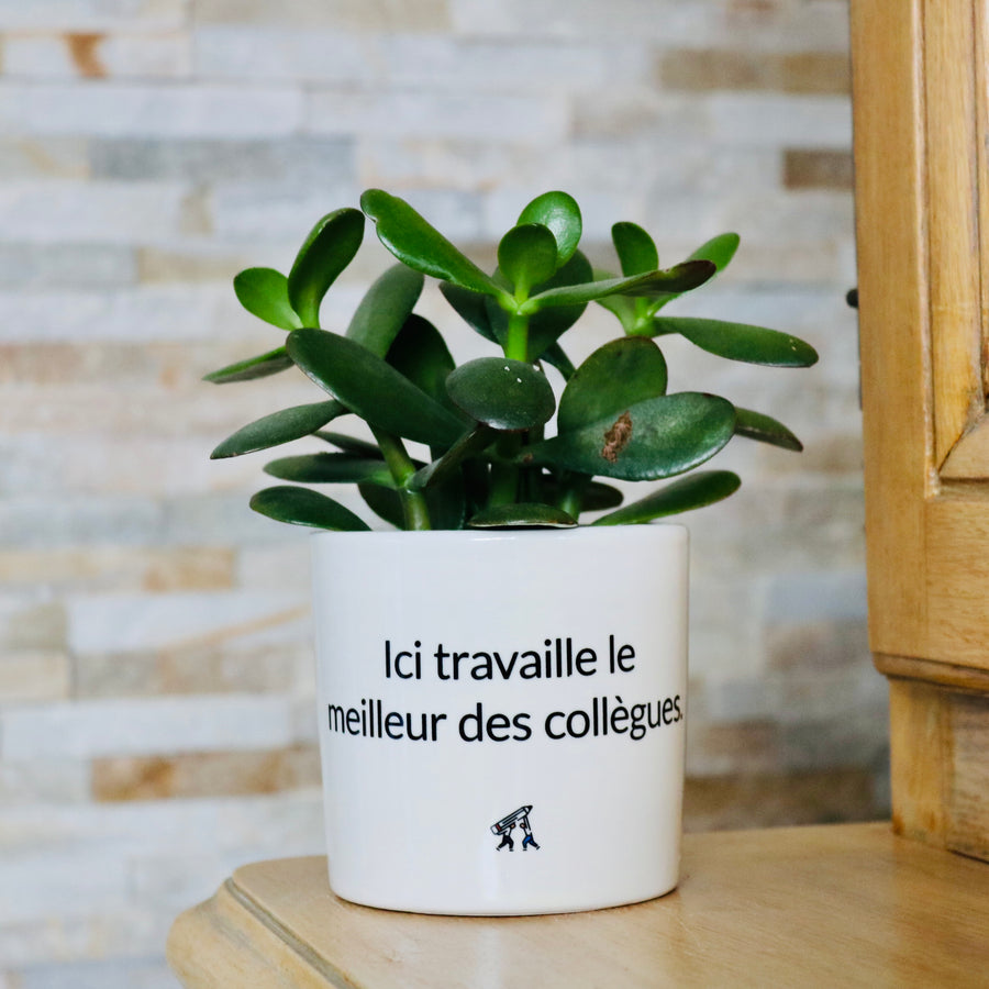 sanoa pots - Ici travaille le meilleur des collègues