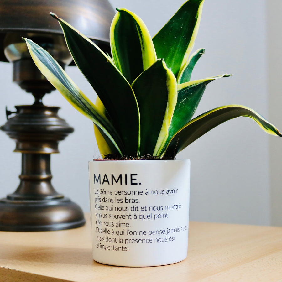 Pot de fleurs - Définition d'une Mamie.