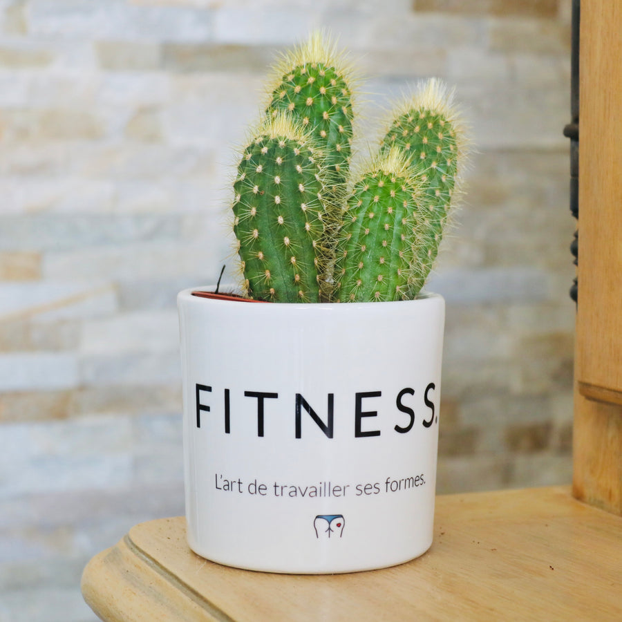 cadeau original fan de muscu
