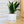 Charger l&#39;image dans la galerie, design minimaliste chien
