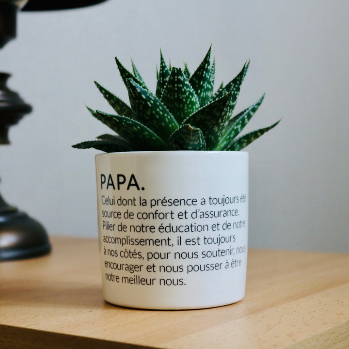 pot de fleurs définition d'un papa