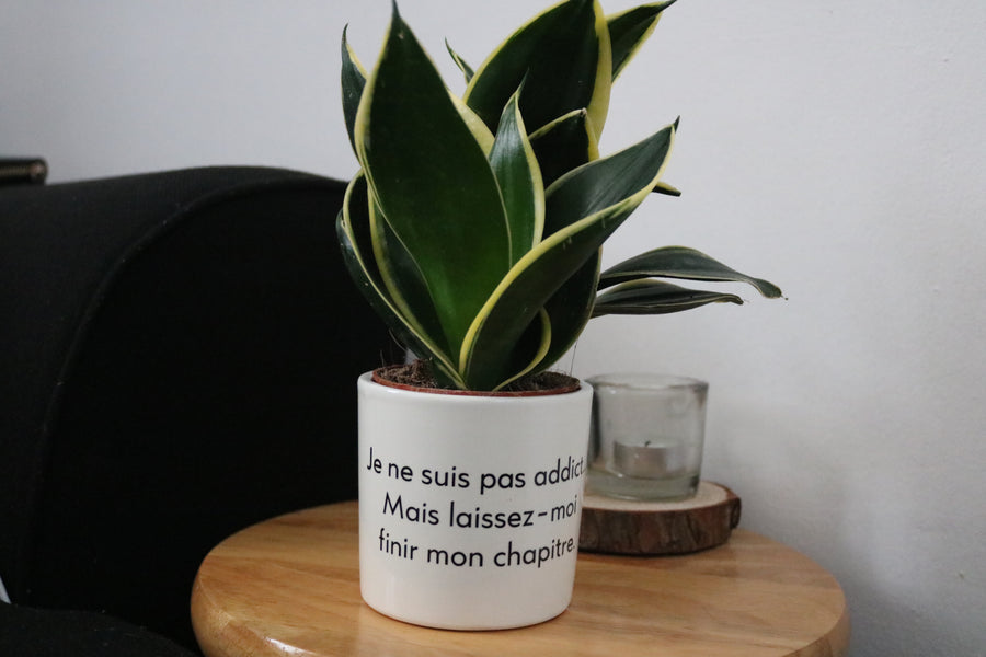 sanoa pots - Je ne suis pas addict... mais laissez-moi finir mon chapitre