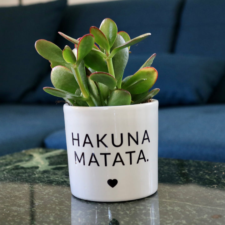 sanoa pots - Hakuna matata