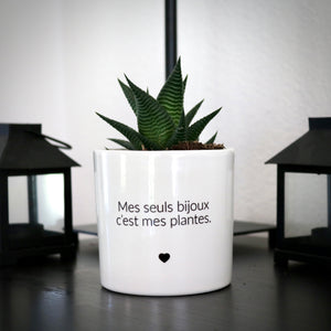 sanoa pots - Mes seuls bijoux c'est mes plantes