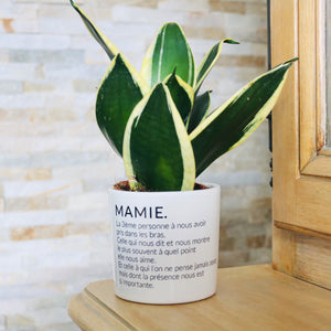 Pot de fleurs personnalisé définition d'une mamie