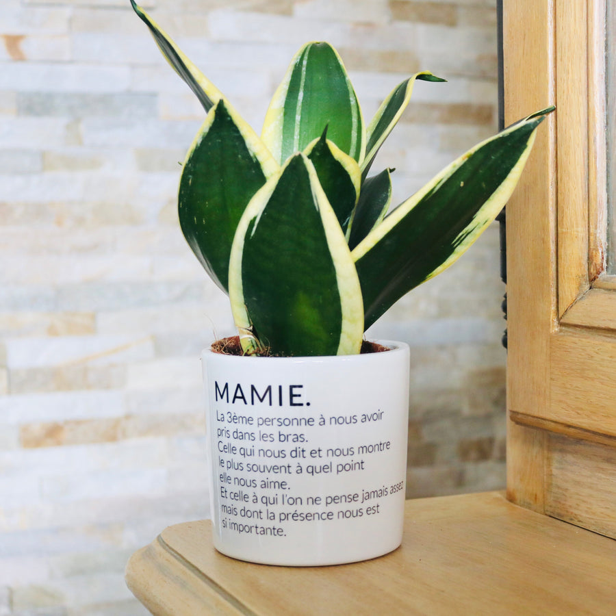 Pot de fleurs personnalisé définition d'une mamie