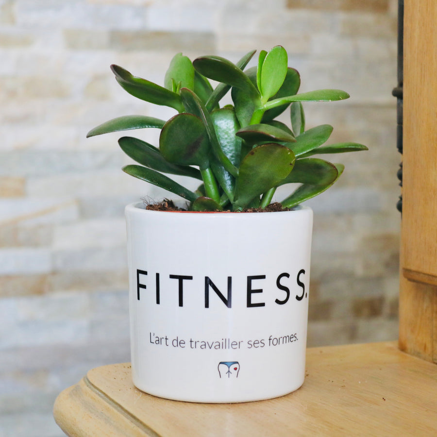 idée cadeau fan de muscu