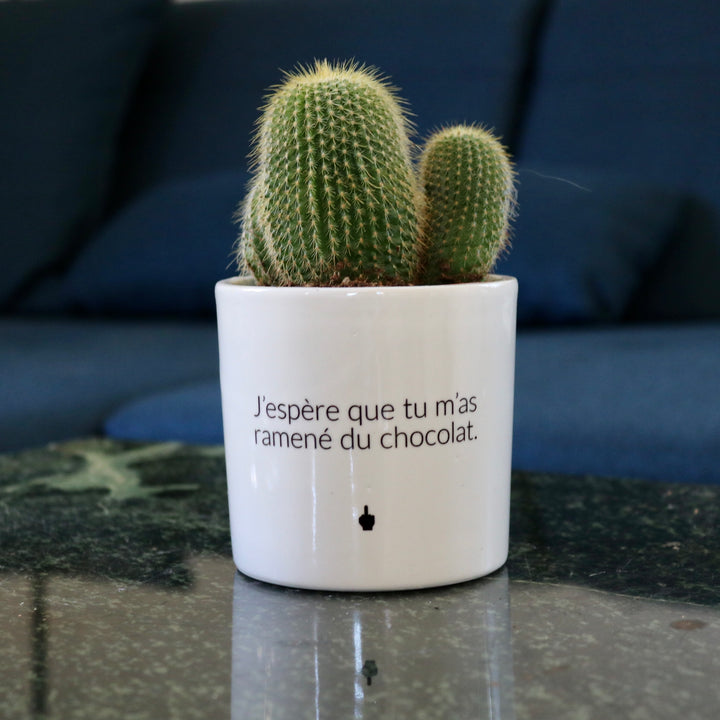 sanoa pots - J'espère que tu m'as ramené du chocolat
