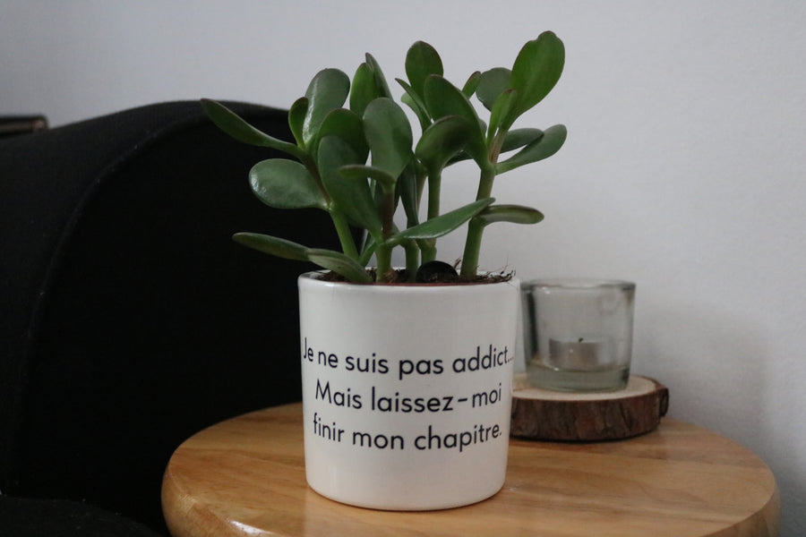 Pot de fleurs - Laissez-moi finir mon chapitre.