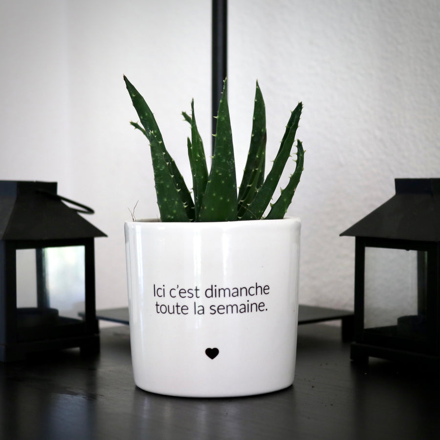 sanoa pots - Ici c'est dimanche toute la semaine