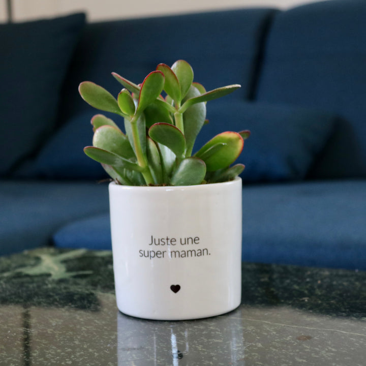sanoa pots - Juste une super maman