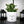 Charger l&#39;image dans la galerie, sanoa pots - Juste un super papa
