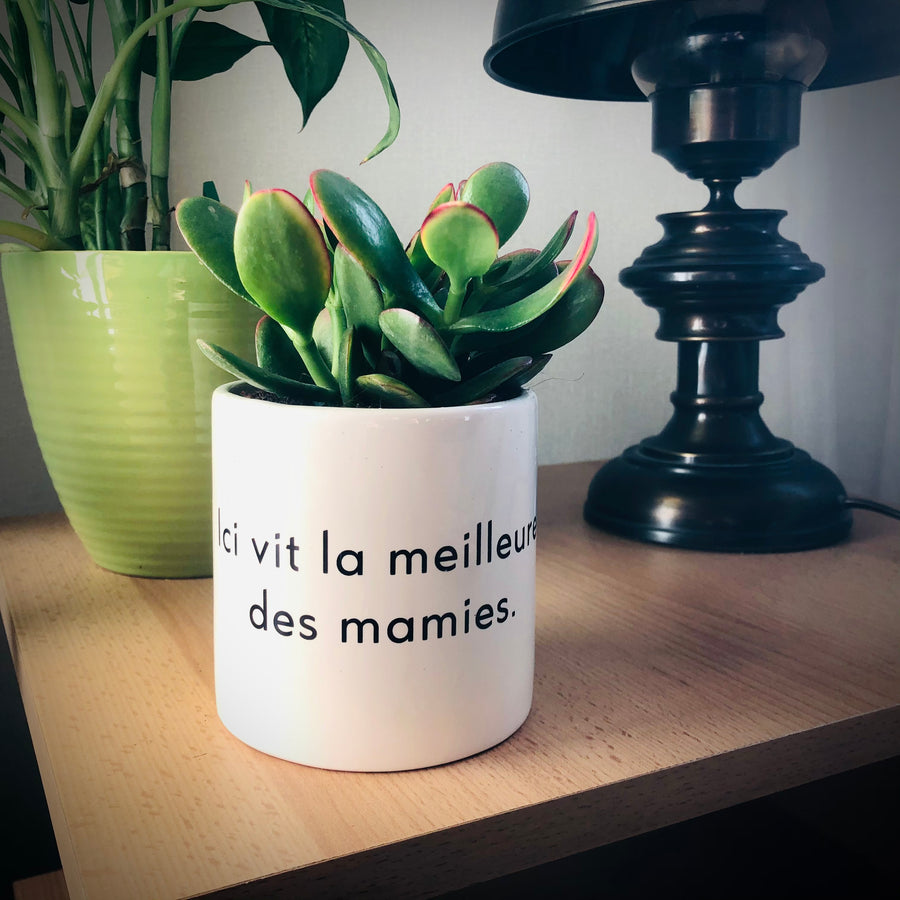 Pot de fleurs - Ici vit la meilleure des Mamies.