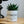 Charger l&#39;image dans la galerie, Pot de fleurs Fitness
