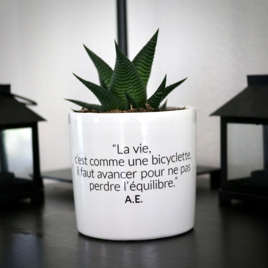 sanoa pots - La vie c'est comme une bicyclette, il faut avancer pour ne pas perdre l'équilibre