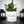 Charger l&#39;image dans la galerie, sanoa pots - Mes seuls bijoux c&#39;est mes plantes
