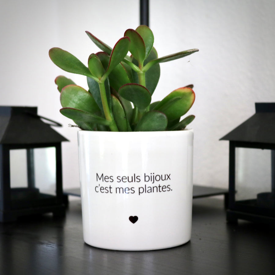 sanoa pots - Mes seuls bijoux c'est mes plantes