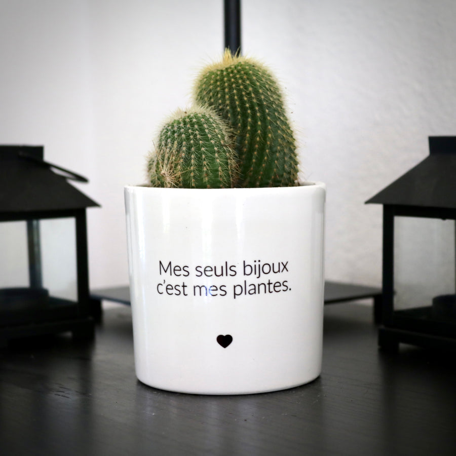 sanoa pots - Mes seuls bijoux c'est mes plantes