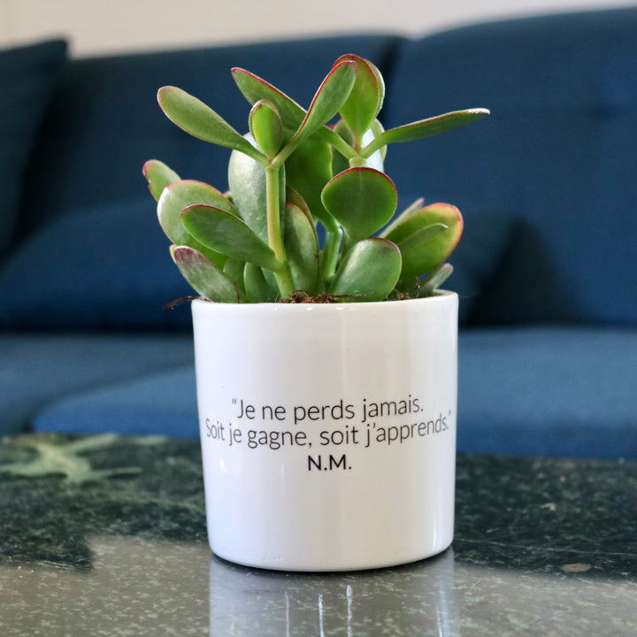 sanoa pots - je ne perds jamais. Soit je gagne, soit j'apprends