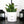 Charger l&#39;image dans la galerie, sanoa pots - Putain
