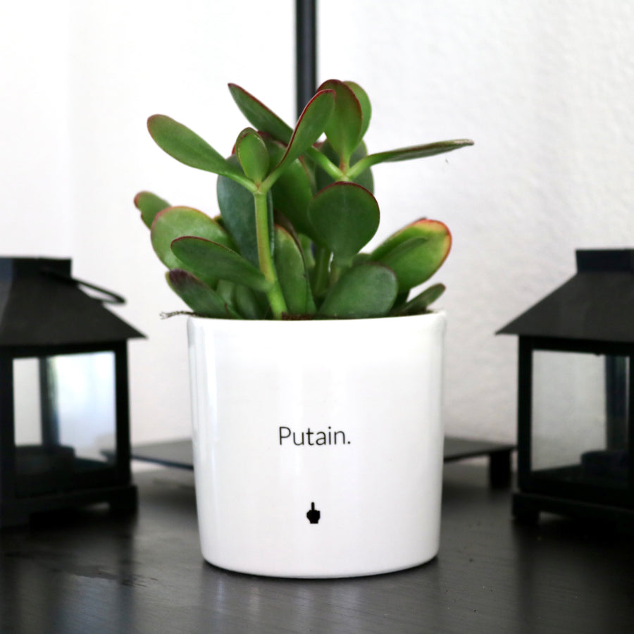 sanoa pots - Putain