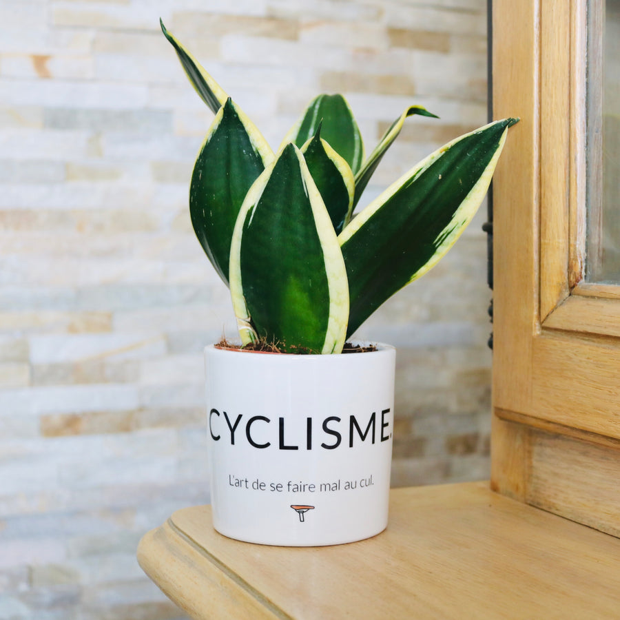 pot de fleurs personnalisé cyclisme