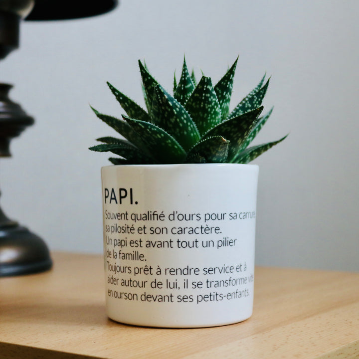 pot de fleurs définition d'un papi