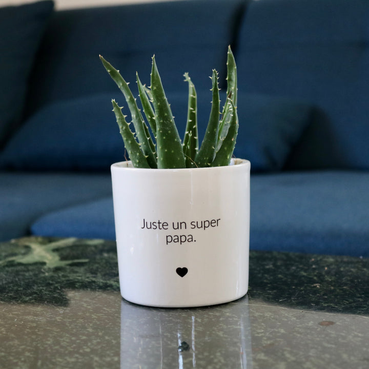 sanoa pots - Juste un super papa
