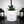 Charger l&#39;image dans la galerie, sanoa pots - Putain
