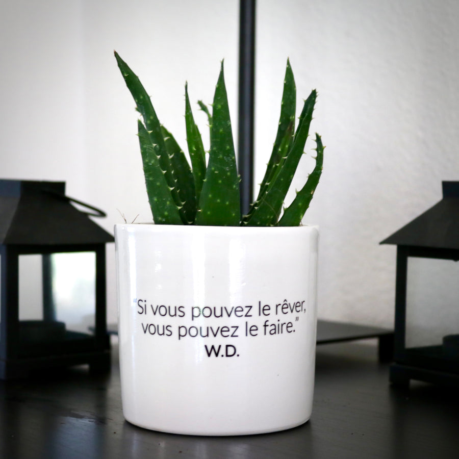 sanoa pots - Si vous pouver le rêver, vous pouvez le faire