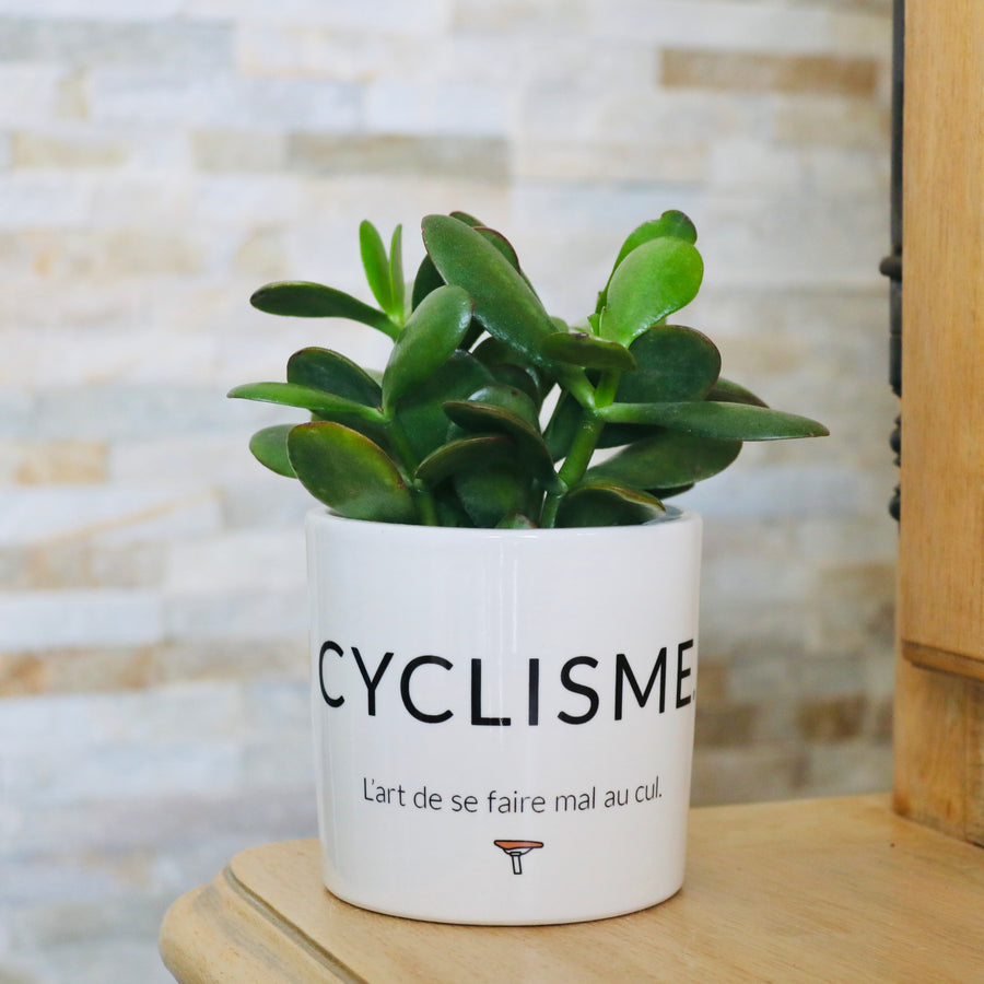 Pot de fleurs - Cyclisme.