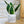 Charger l&#39;image dans la galerie, pot de fleurs papa
