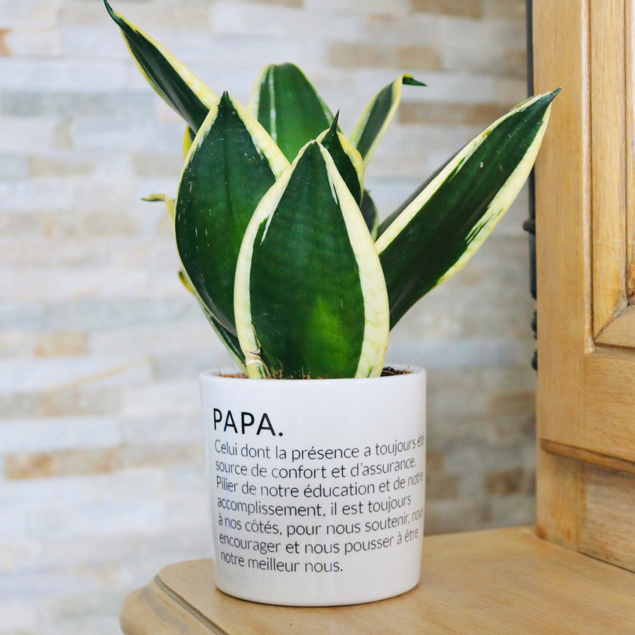 pot de fleurs papa