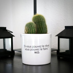 sanoa pots - Si vous pouver le rêver, vous pouvez le faire