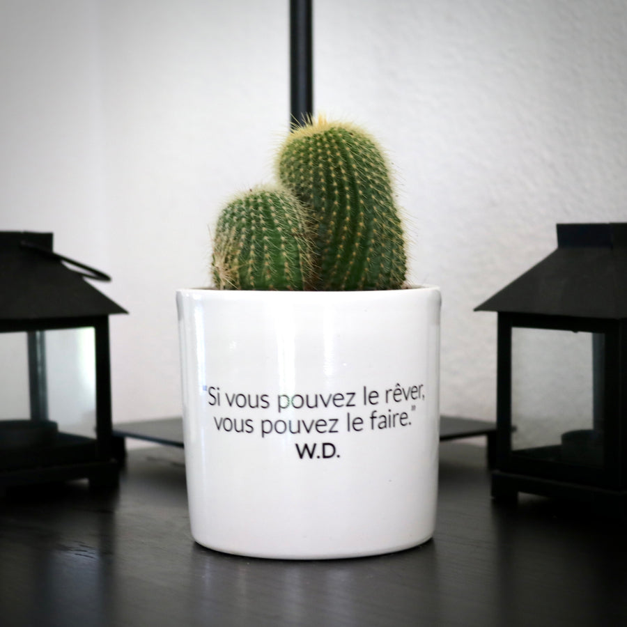 sanoa pots - Si vous pouver le rêver, vous pouvez le faire