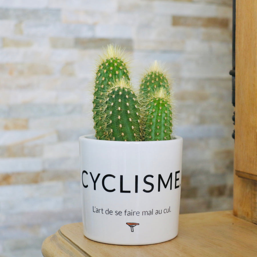 cadeau original fan de vélo