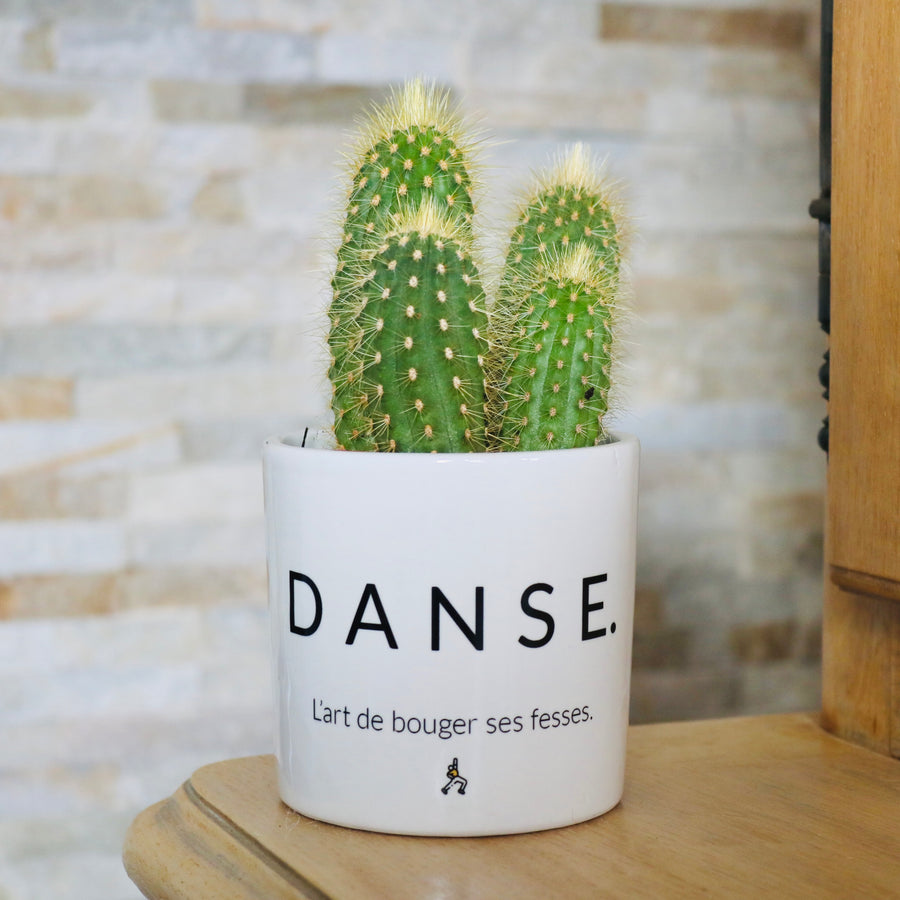pot de fleurs personnalisé danse