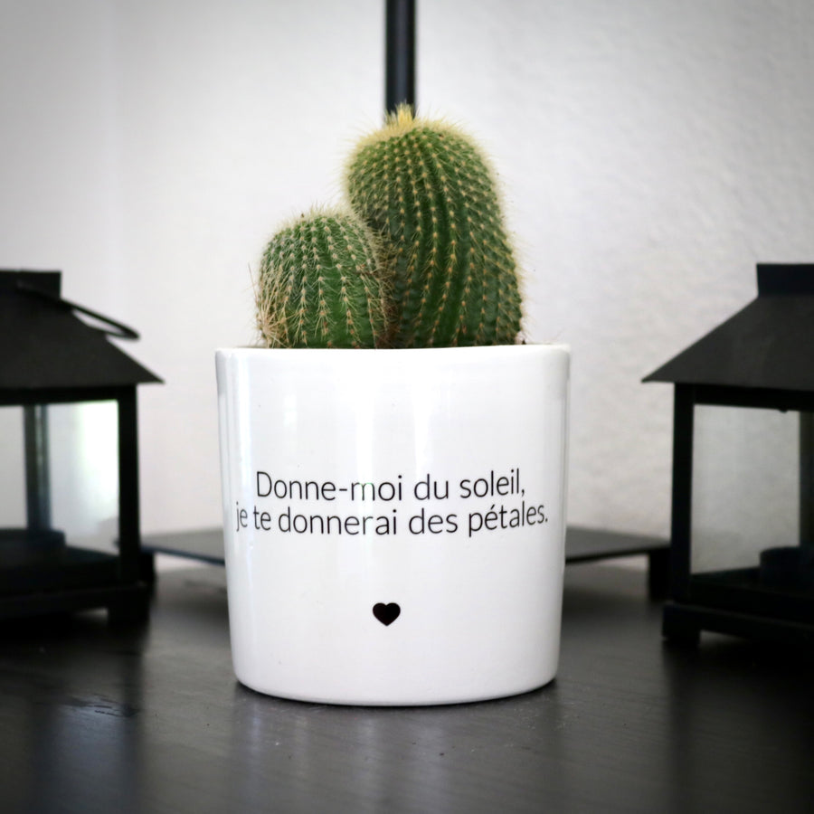 sanoa pots - Donne-moi du soleil, je te donnerai des pétales