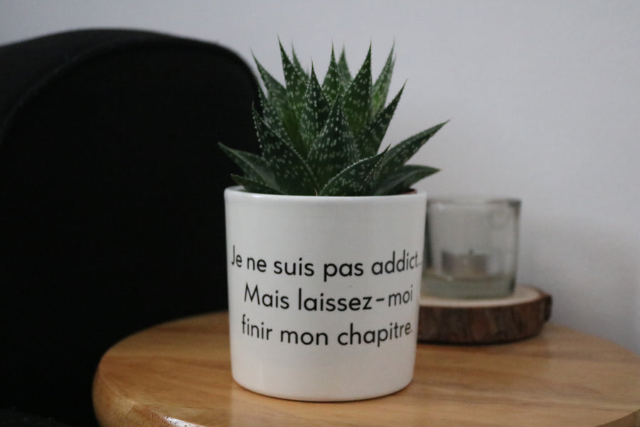 Pot de fleurs - Laissez-moi finir mon chapitre.