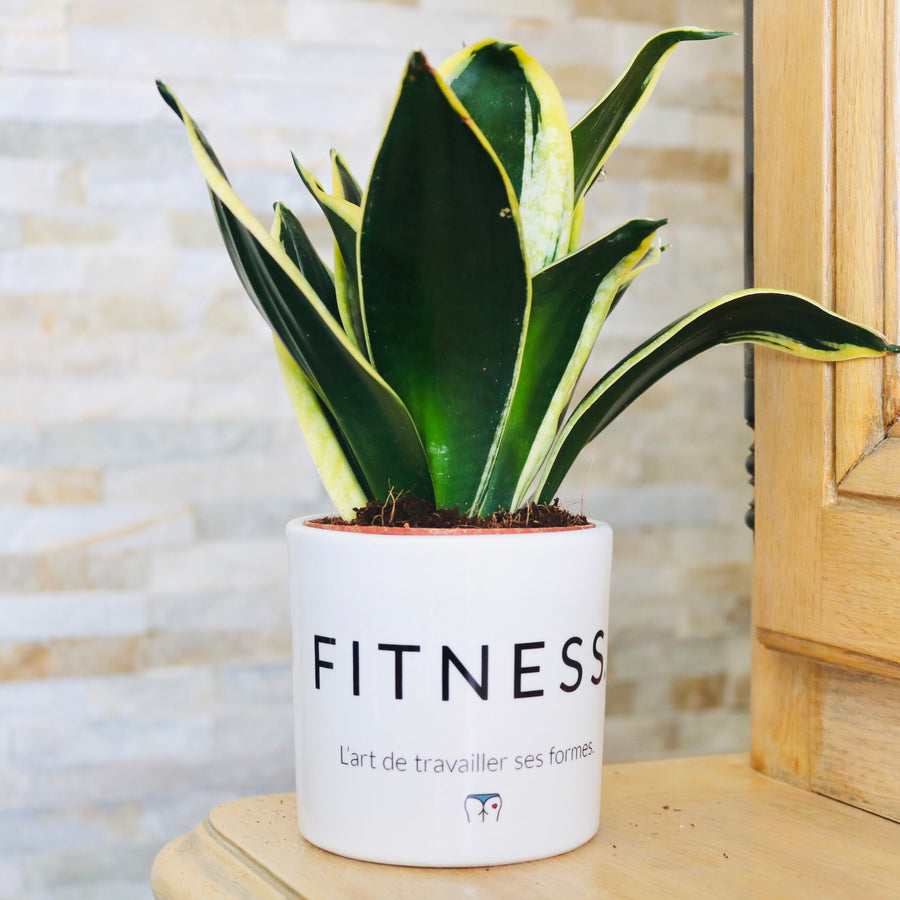 pot de fleurs personnalisé fitness