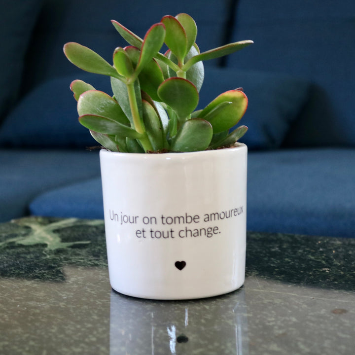 sanoa pots - Un jour on tombe amoureux et tout change