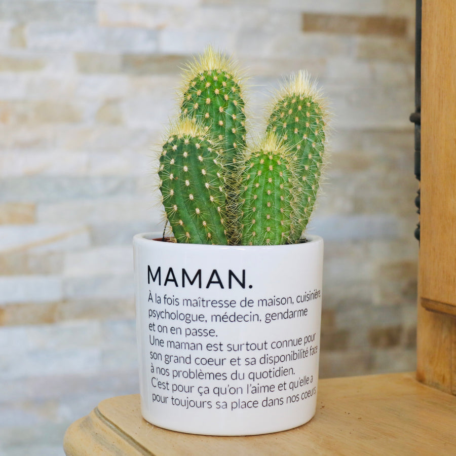 cadeau original maman