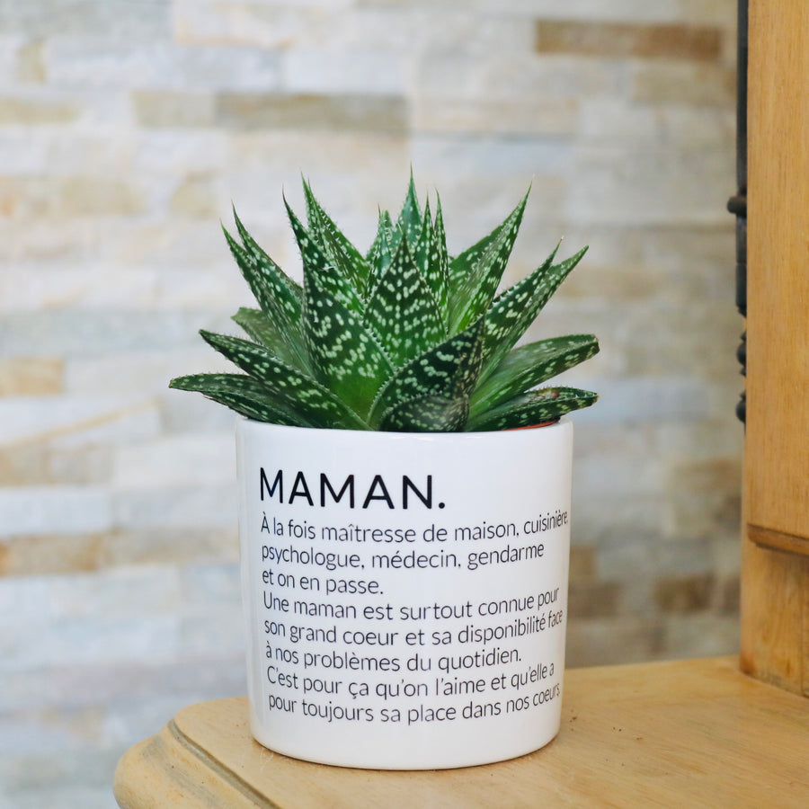 pot de fleurs personnalisé maman