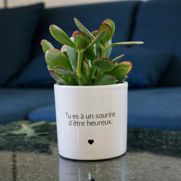sanoa pots - Tu es à un sourire d'être heureux