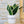 Charger l&#39;image dans la galerie, sanoa pots - Hugo
