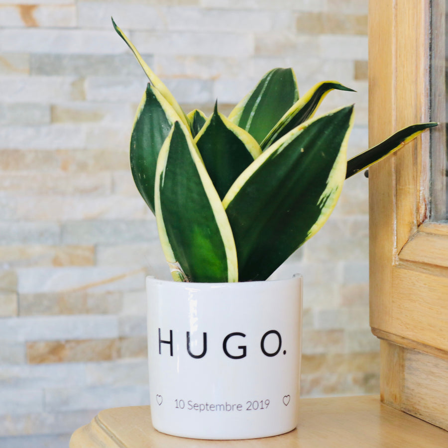 sanoa pots - Hugo