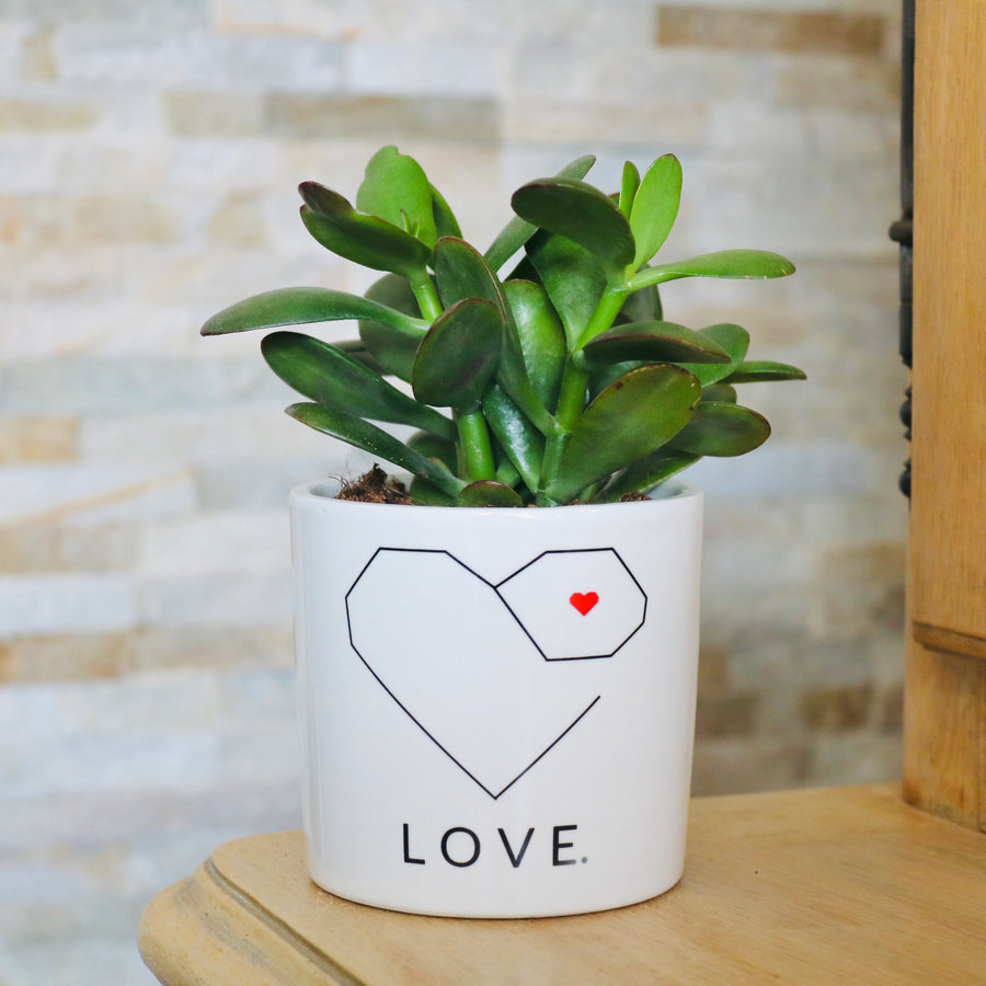 idée cadeau amoureux