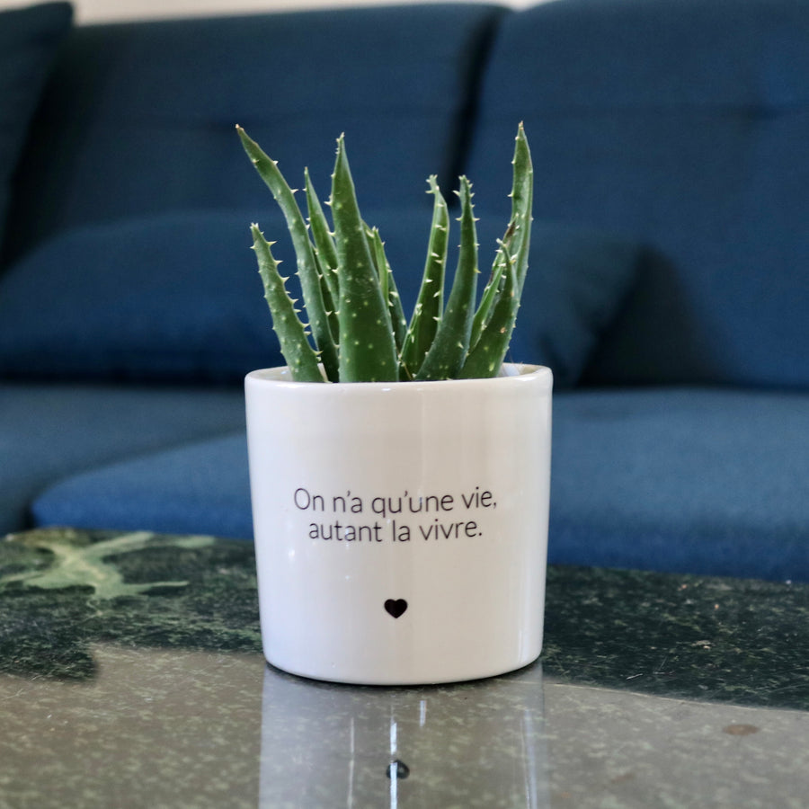 sanoa pots - On n'a qu'une vie autant la vivre