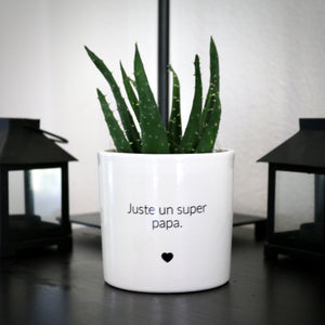 sanoa pots - Juste un super papa
