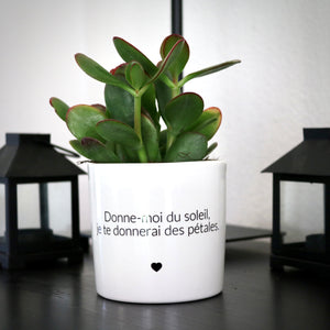 sanoa pots - Donne-moi du soleil, je te donnerai des pétales